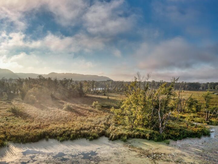 Parc naturel de Tamadaba